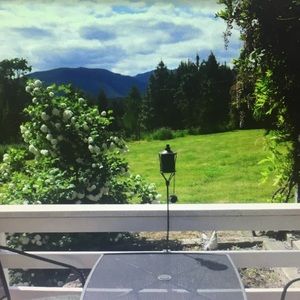 Meet your Posher, Jackie🐼